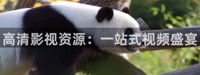 免费在线观看人人网影视：高清影视资源：一站式视频盛宴