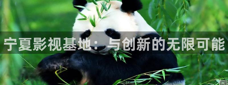 超碰人人干在线观看