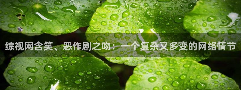 南京人人从众影视有限公司