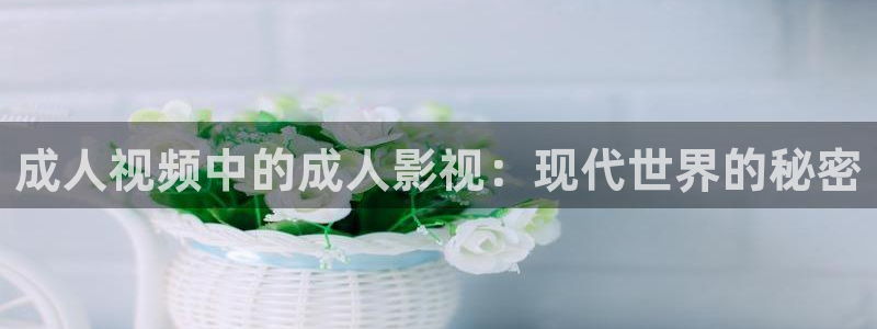 97视频在线观看人人