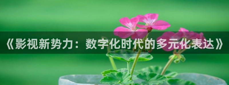 人人tv视频在线观看