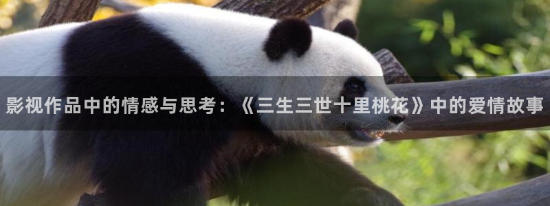 超级碰碰碰人人