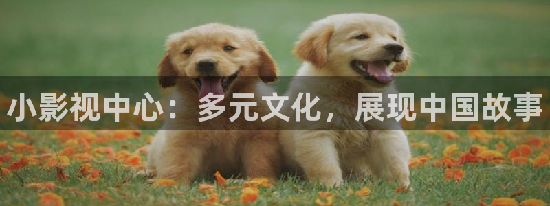 人人妻人人爱在线视频