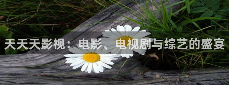 超碰日韩人人