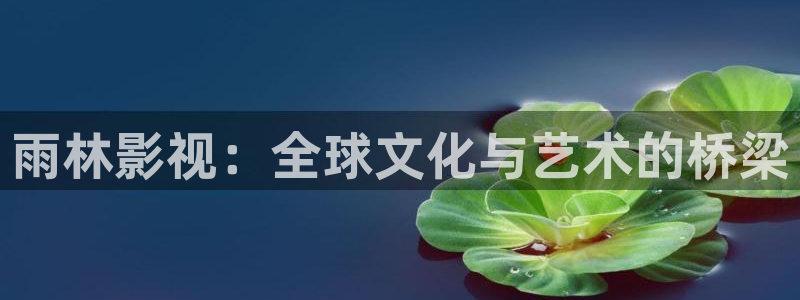 人人干人人影院片